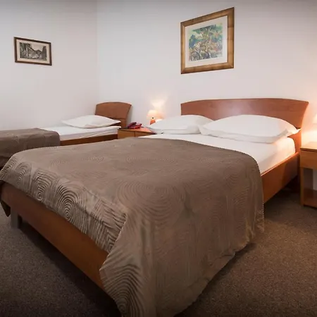 Hotel Bellevue 3*