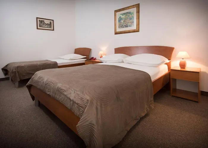 ホテル Bellevue 3*